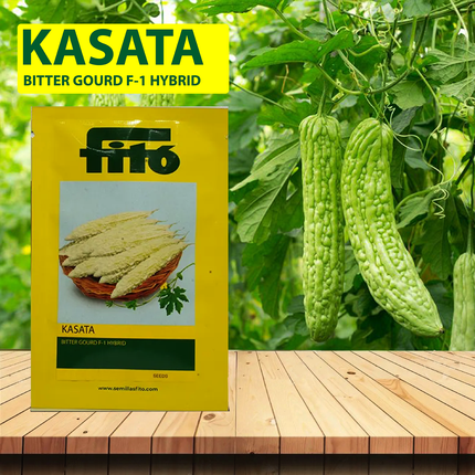 FITO Kasata Bittergourd Seeds - 100 SEEDS