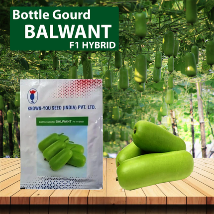 Known You Balwant Bottle Gourd Seeds  - 50 GM