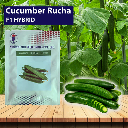 Known You Rucha Cucumber Seeds - 10 GM - Agriplex