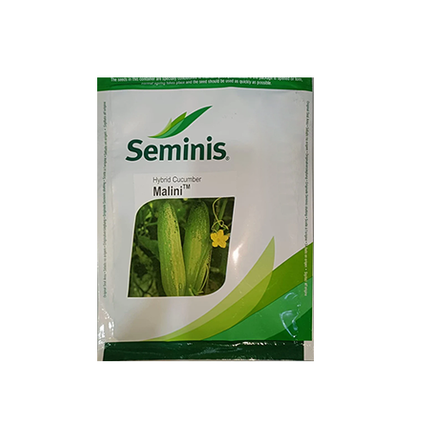 Seminis Malini Cucumber - Agriplex