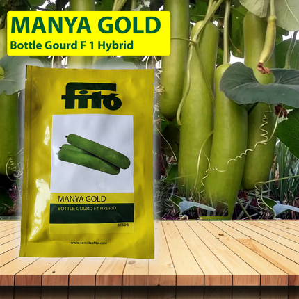 FITO Manya Gold Bottle Gourd Seeds - 250 SEEDS