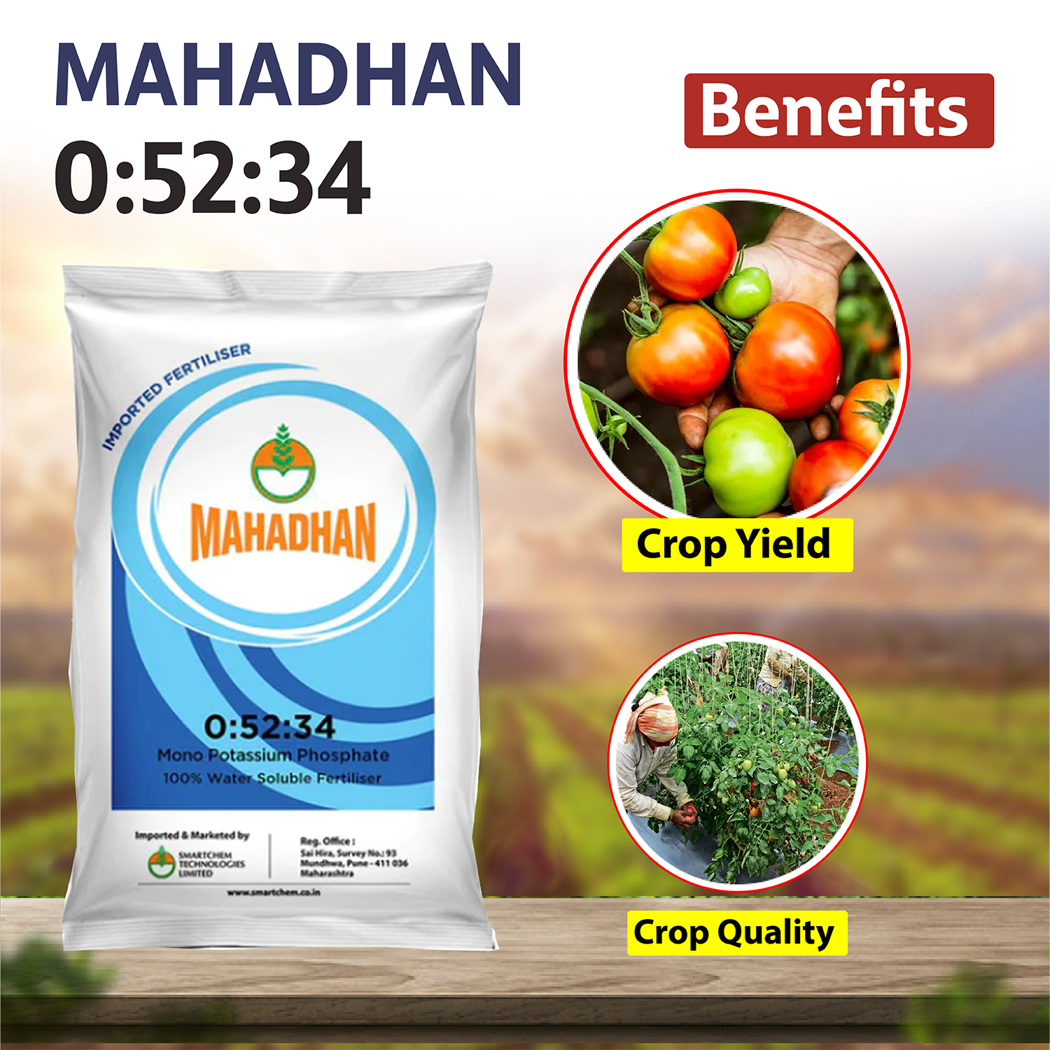 Mahadhan 0 52 34 Fertilizers 1 KG Agriplex mahadhan-0-52-34-fertilizers-1-kg-agriplex
