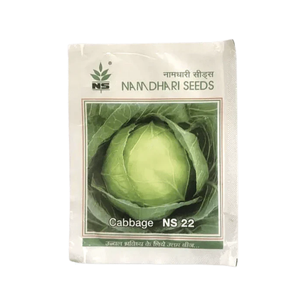 NS 22 Cabbage Seeds