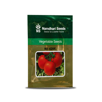 Namdhari NS 4266 Tomato Seeds - 10 GM