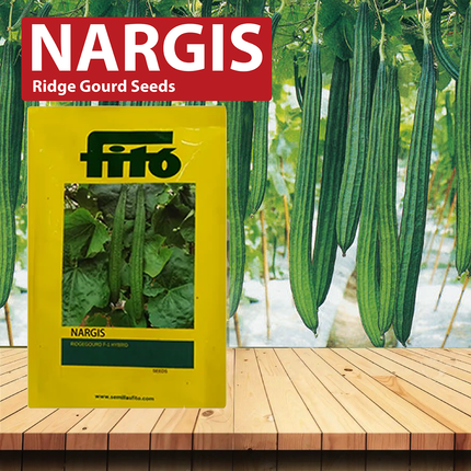 FITO Nargis Ridge Gourd Seeds - 250 SEEDS