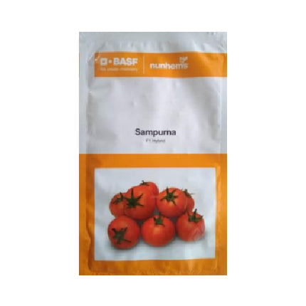 Nunhems Sampurna Tomato Hybrid - 3000 SEEDS - Agriplex