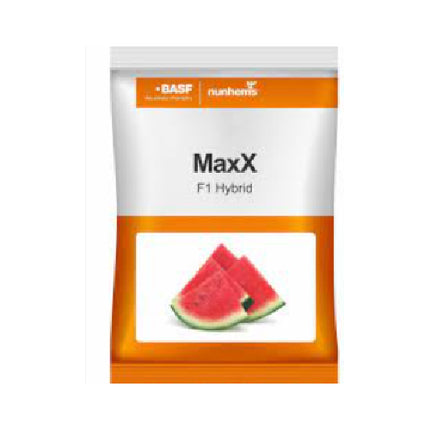 Nunhems Maxx F1 Hybrid Watermelon Seeds