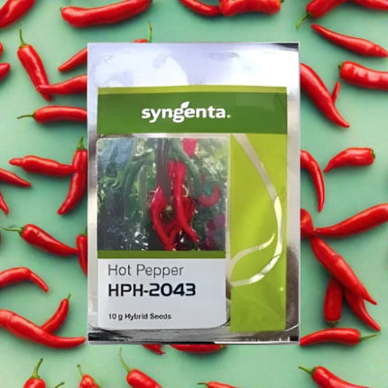 Syngenta HPH 2043 Chilli Seeds