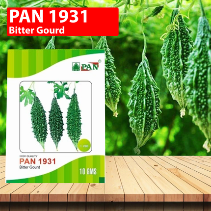 PAN 1931 Hybrid Bitter Gourd Seeds (Dark Green) - 10 GM (Pack of 2)