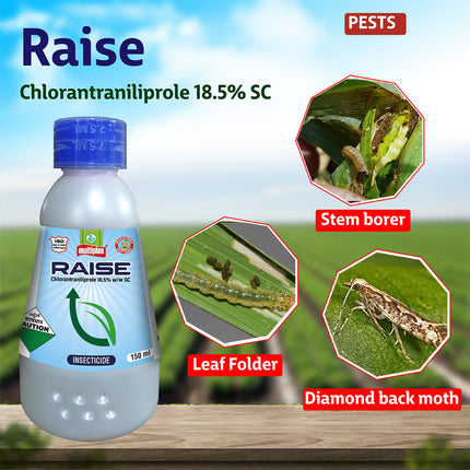Multiplex Raise (Chlorantraniliprole 18.5% SC) Insecticide - Agriplex