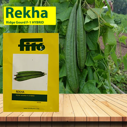 FITO Rekha Ridgegourd Seeds - Agriplex