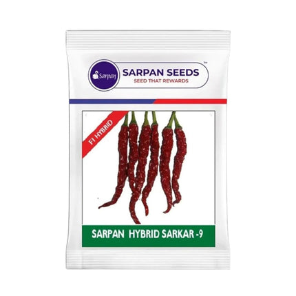 Sarpan Sarker Chilli Seeds