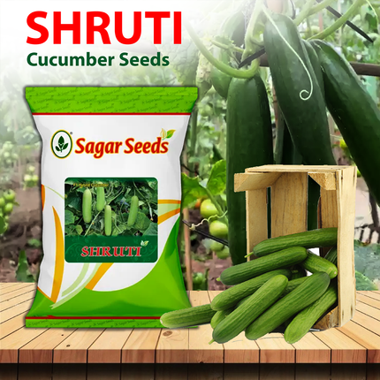 Sagar White Cucumber Shruti Seeds - 25GM