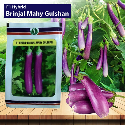 SUNGRO Gulshan Seeds - 10 GM (Pack of 2) - Agriplex