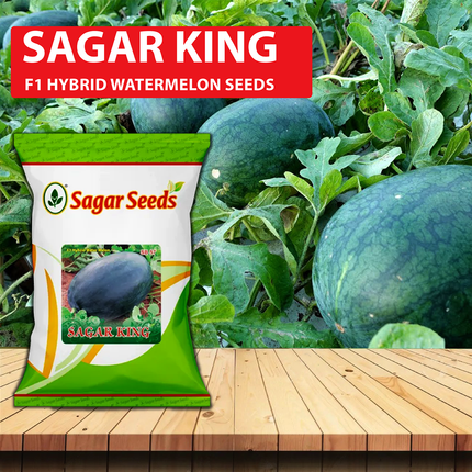 Sagar King Gold Watermelon Seeds -50 GM