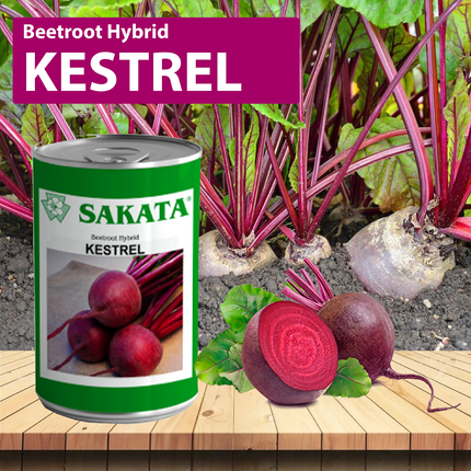 Sakata Kestrel F1 Beetroot Seeds - 200 GM