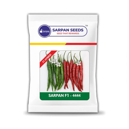 Sarpan 4444 Chilli Seeds