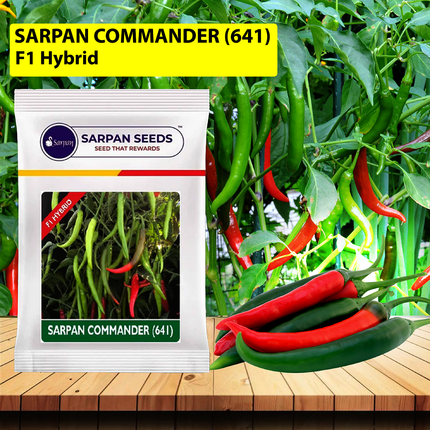 Sarpan Commander 641 Chilli Seeds