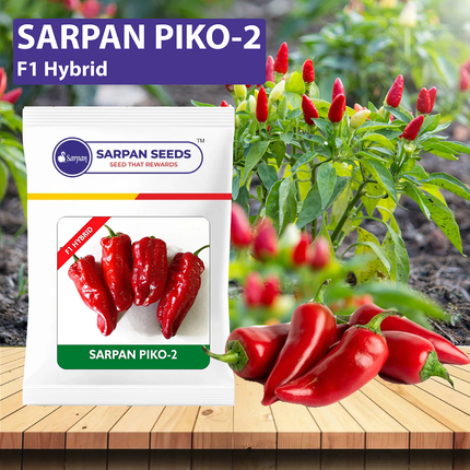 Sarpan Piko-2 Chilli Seeds