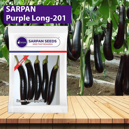 Sarpan Purplelong-201 Brinjal Seeds
