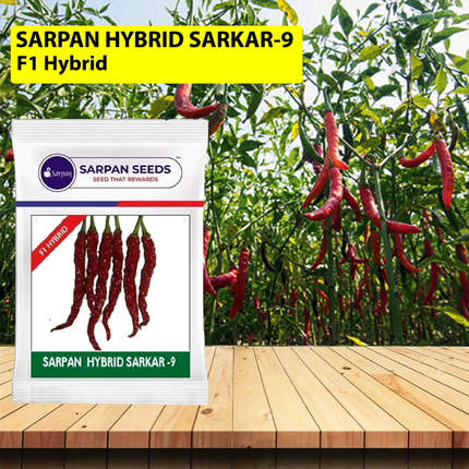 Sarpan Sarker Chilli Seeds