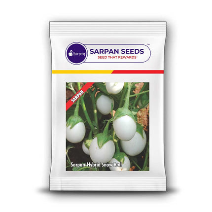 Sarpan Snowball Brinjal Seeds