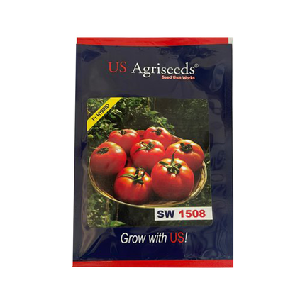 Seedworks India Tomato 1508 10 GM