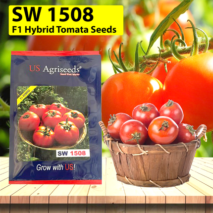 Seedworks India Tomato 1508 10 GM