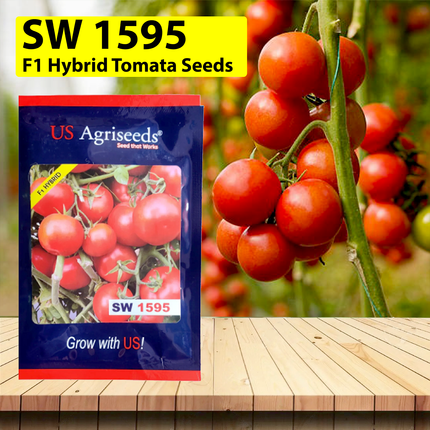 Seedworks India Tomato 1595 10 GM