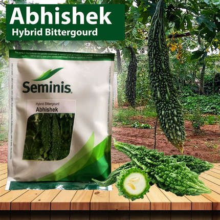 Seminis Abhishek Bitter Gourd Seeds - Agriplex