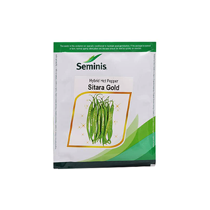 Seminis Sitara Gold Chilli Seeds -1500 SEEDS