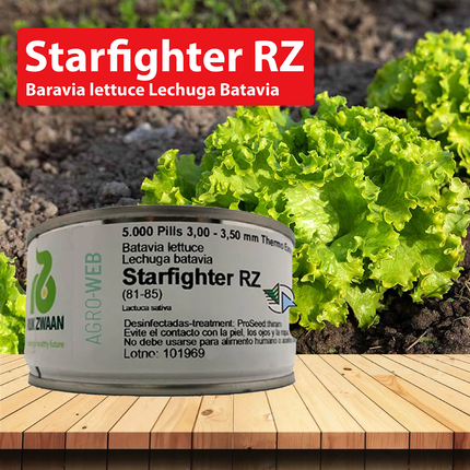 Starfighter RZ (81-85) Green Batavia Lettuce Seeds - 5000 SEEDS