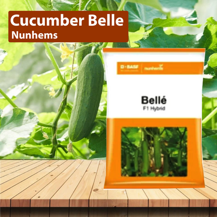 Nunhems Cucumber Belle - 1000SEEDS