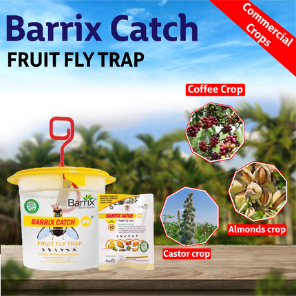 Barrix Catch Fruit Fly Lure + Trap - 1 UNIT