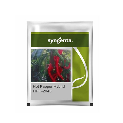 Syngenta HPH 2043 Chilli Seeds