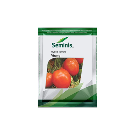 Seminis Virang Tomato -3500 SEEDS
