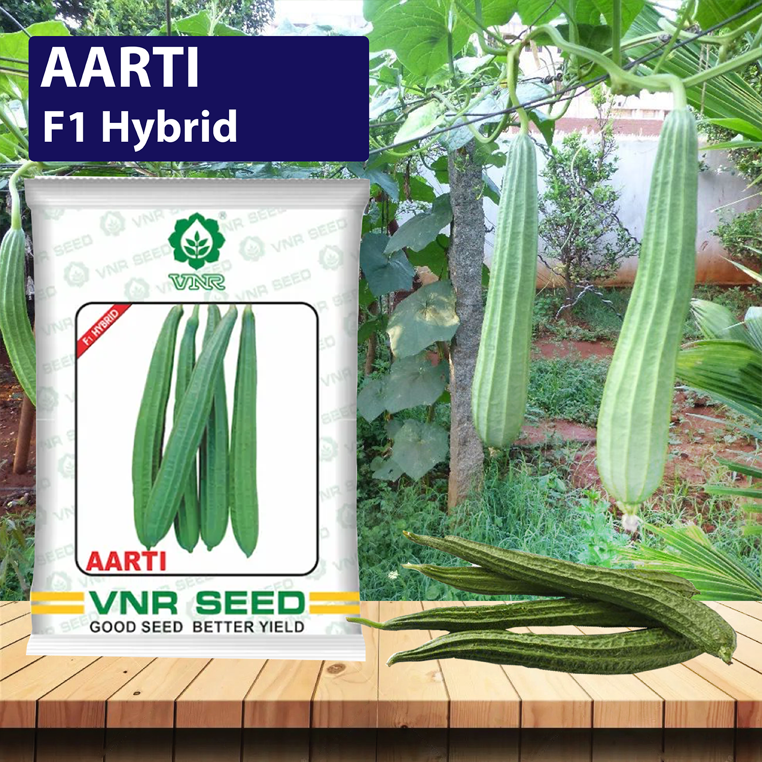 Ridge Gourd F1 Hybrid Vegetable Seeds for Home Gardening Pack 20 Seeds :  Amazon.in: Garden & Outdoors