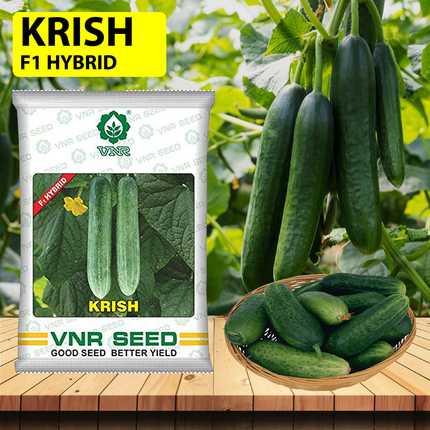 VNR Krish F1 Hybrid Cucumber - 10 GM - Agriplex