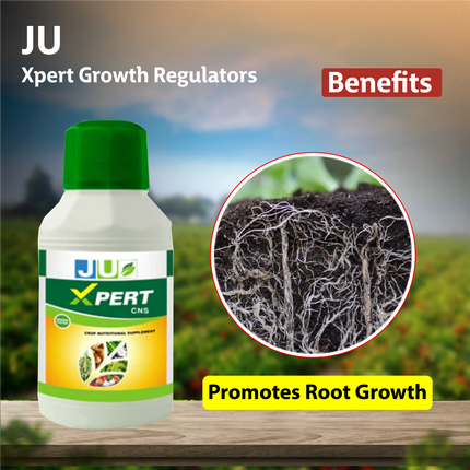 JU Xpert  Growth Regulators - 1 LT