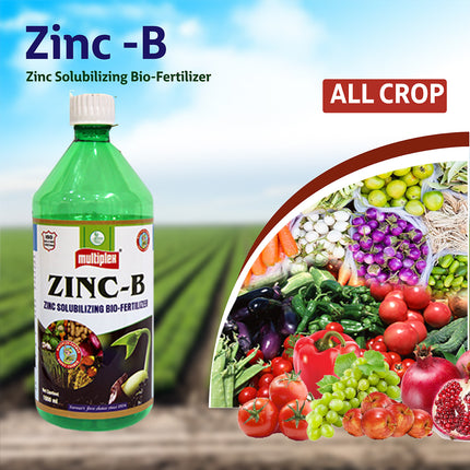 Multiplex Zinc-B Bio Fertilizer
