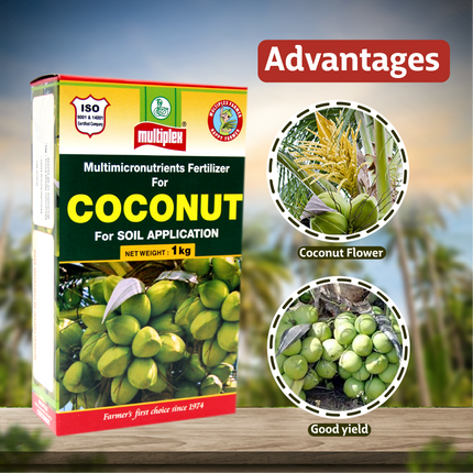 Multiplex Coconut  Multi Micronutrient Powder - 1 KG