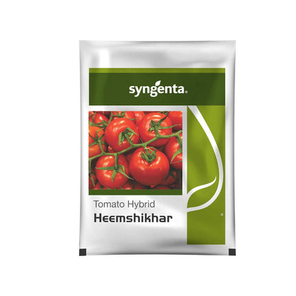 Syngenta Heemshikar Tomato Seeds - 4000 SEEDS