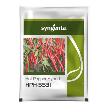 Syngenta HPH - 5531 Chilli Seeds - 1500 SEEDS