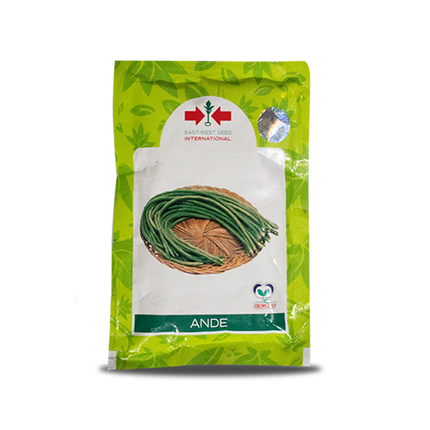 East West Ande Yard Long Beans - 100 GM (PACK OF 2)
