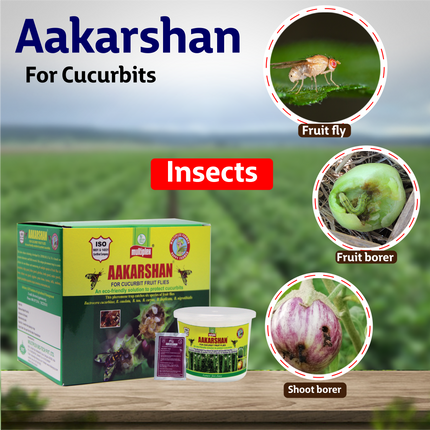 Aakarshan for Pheromone Trap Cucurbits Fruit Flies Benifits