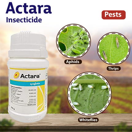 Syngenta Actara Insecticide