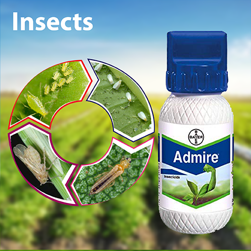 Admire insecticide deals