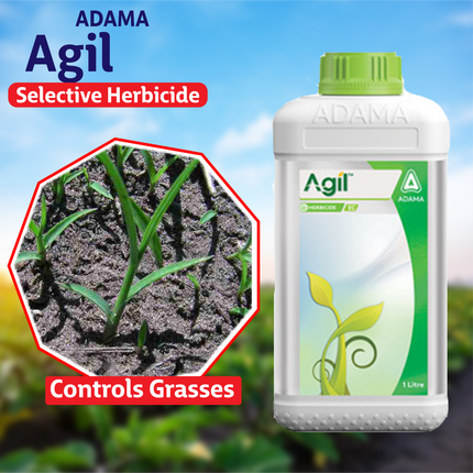 Adama Agil Herbicide Use