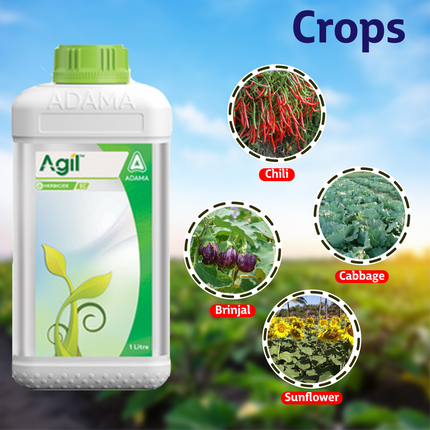 Adama Agil Herbicide Crops