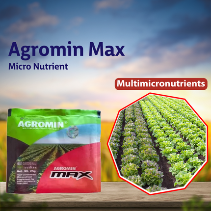 Aries Agromin Max Micro Nutrient Multimicronutrients